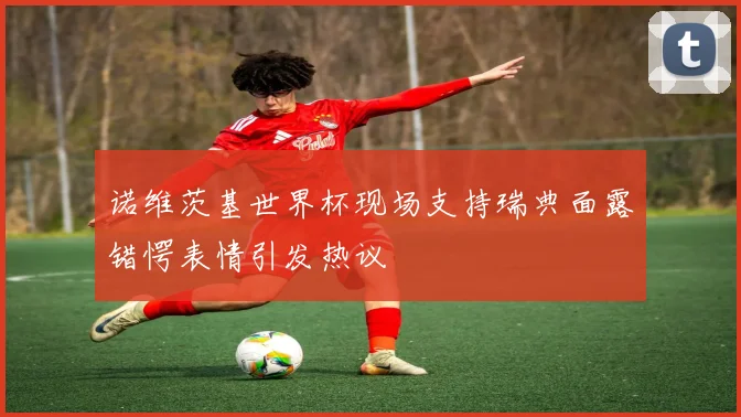 诺维茨基世界杯现场支持瑞典面露错愕表情引发热议