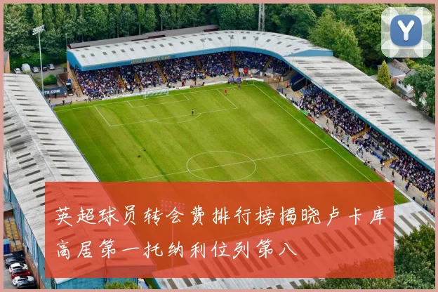 英超球员转会费排行榜揭晓卢卡库高居第一托纳利位列第八
