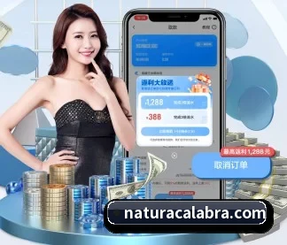智能升级